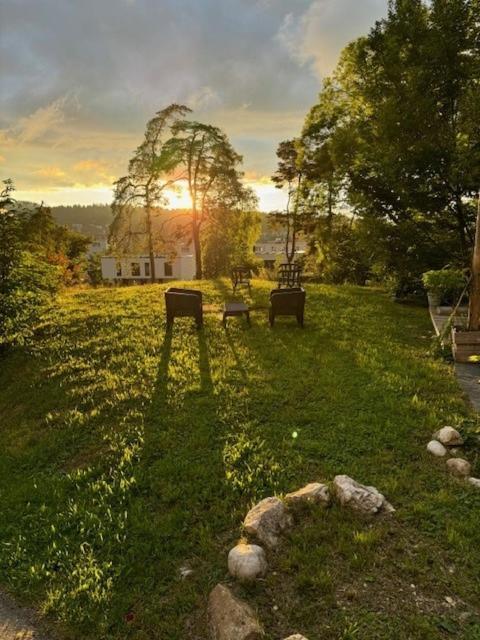 Bed and Breakfast La Ferme Des Aretes La Chaux De Fonds Zewnętrze zdjęcie