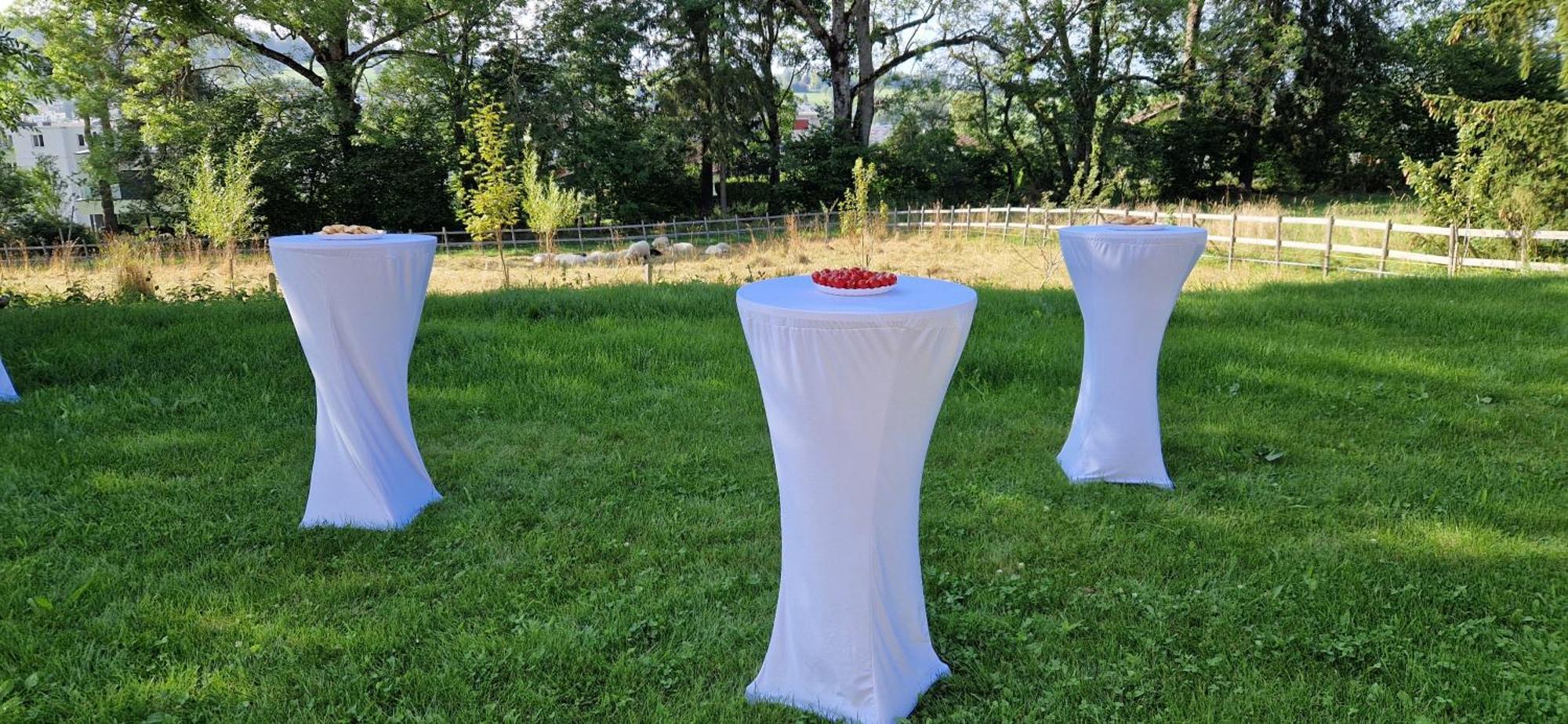 Bed and Breakfast La Ferme Des Aretes La Chaux De Fonds Zewnętrze zdjęcie